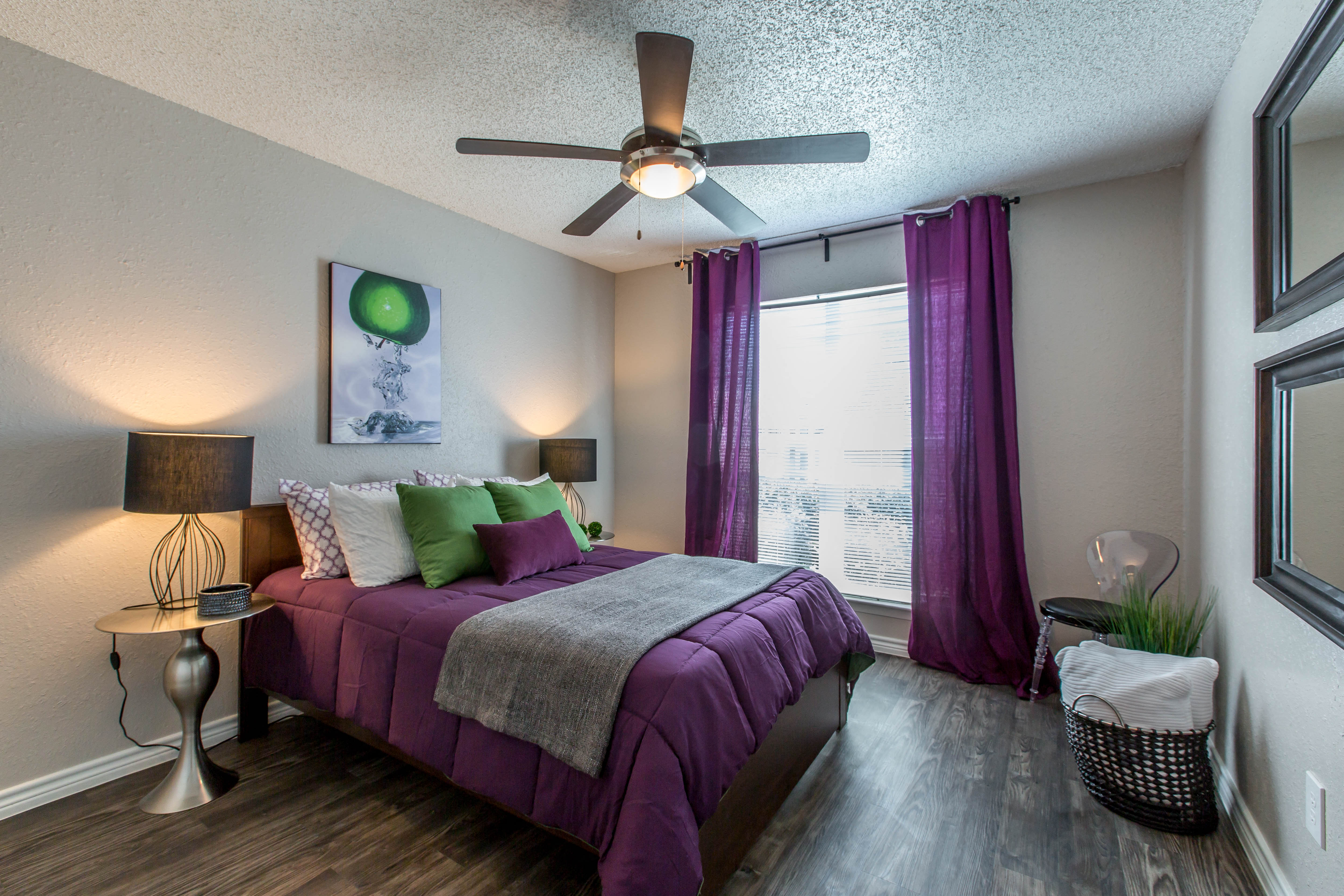 Photos and Video of The Violet in Austin, TX